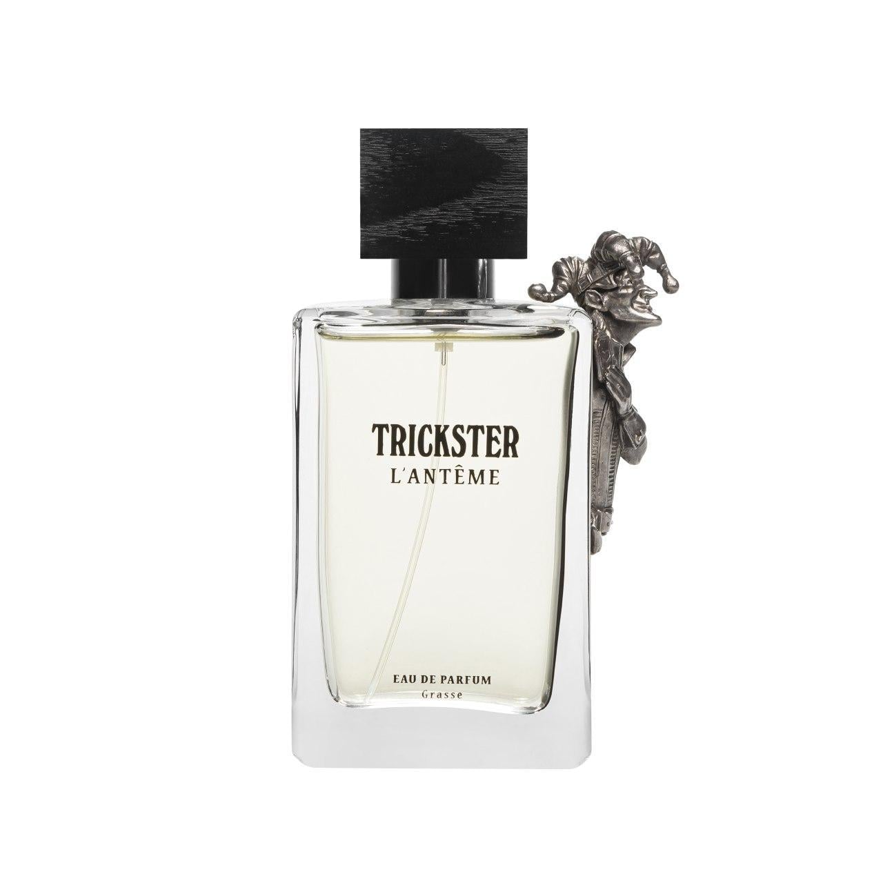 Парфюмерная вода для мужчин TRICKSTER Eau De Parfum Pour Homme 100 мл в транспортной упаковке (26214174)