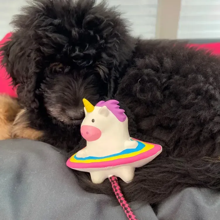 Іграшка для собак Max&Molly Snuggles Toy Magic Mikey (24762954) - фото 3