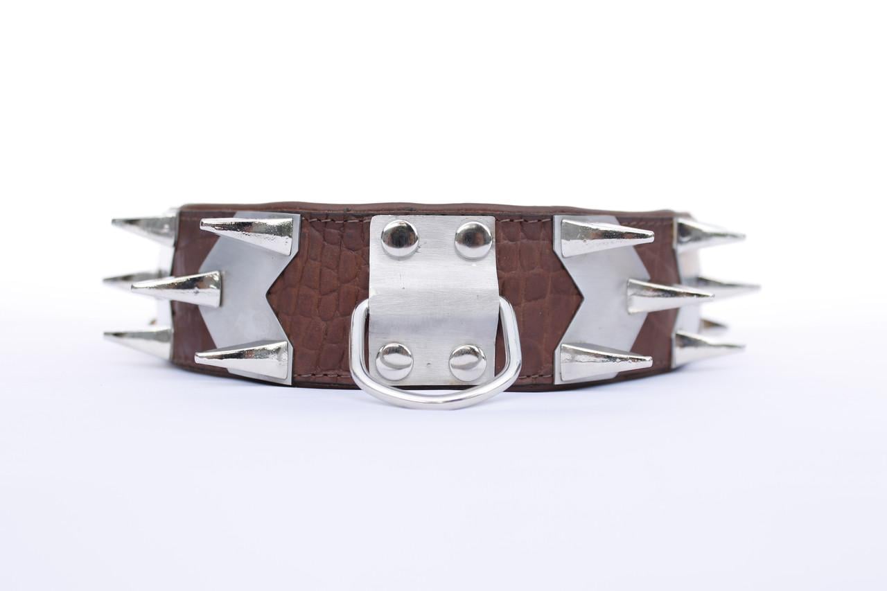 Нашийник для тварин Lockdog шкіряний з посиленим захистом L (ld145_L)