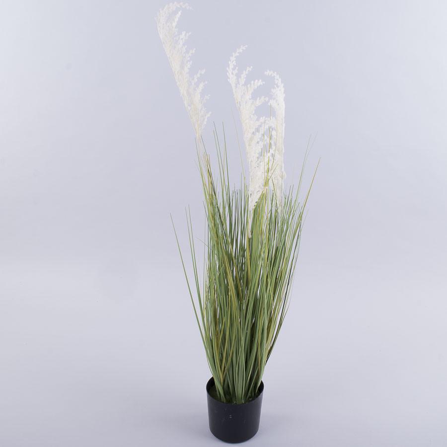 Трава в горшке пампас белый 90см