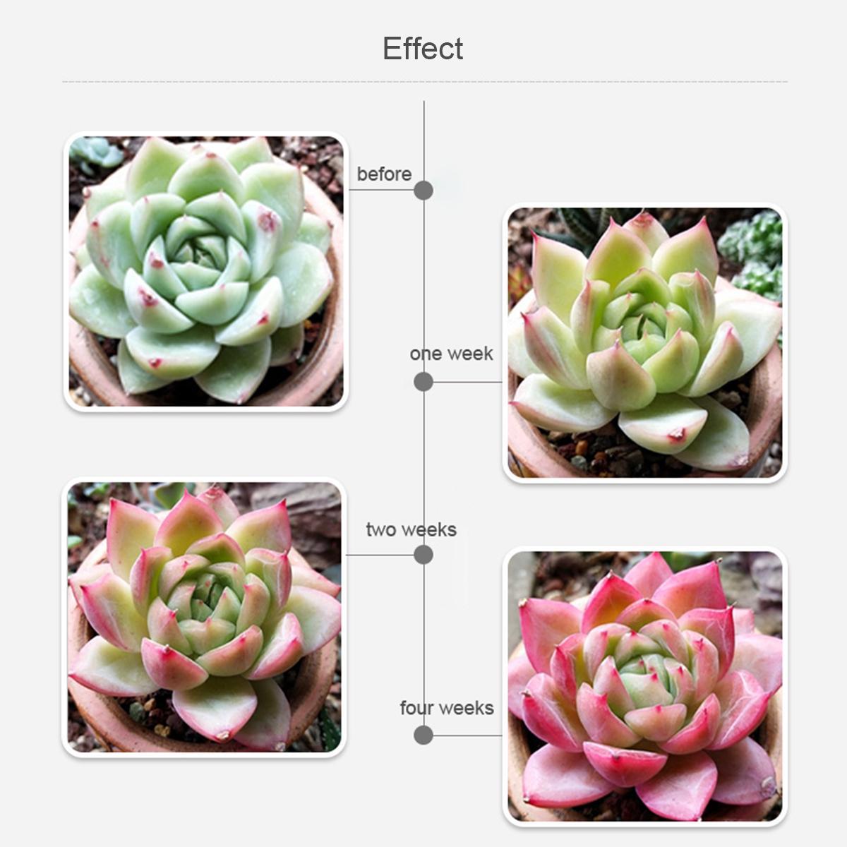 Фитолампа трубчатая для выращивания растений 6W 220 В 30 см Красный/Синий (40_077) - фото 3 Фитолампа трубчатая для выращивания растений 6W 220 В 30 см Красный/Синий (40_077) - фото 3