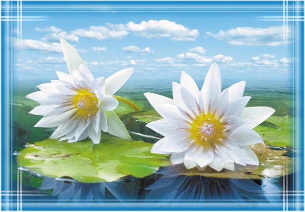 Фотообои на бумажной основе Ролес Роллес Кувшинки 194х278 см (2000000485911)