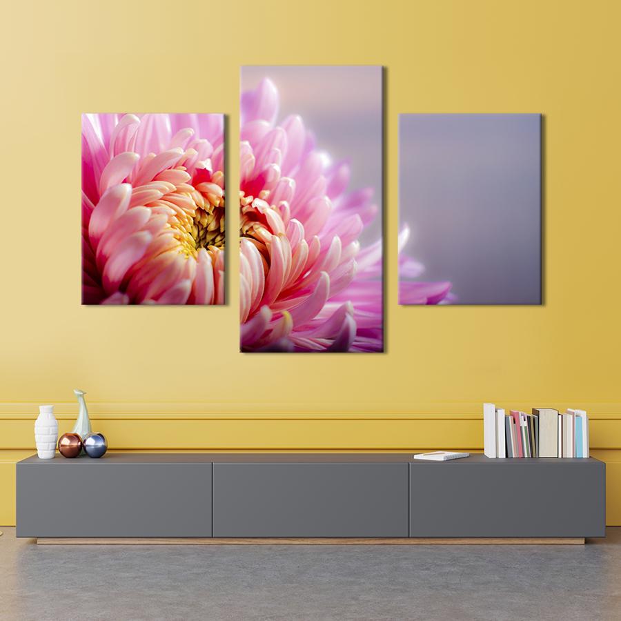 Картина на холсте триптих Чарующая розовая хризантема 96x60 см (812-32)