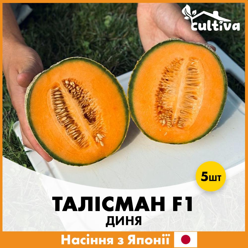 Семена дыни Sakata Талисман F1 5 шт. (R51241)