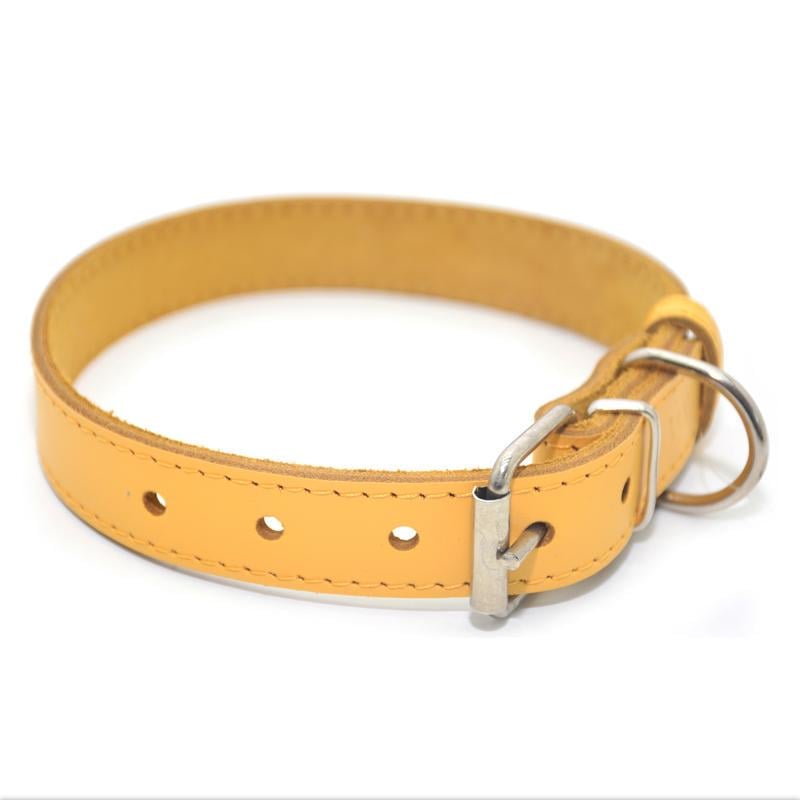 Ошейник для собак Zoo-hunt Весна кожаный 3,0/41-51 см Желтый - фото 1 Ошейник для собак Zoo-hunt Весна кожаный 3,0/41-51 см Желтый - фото 1