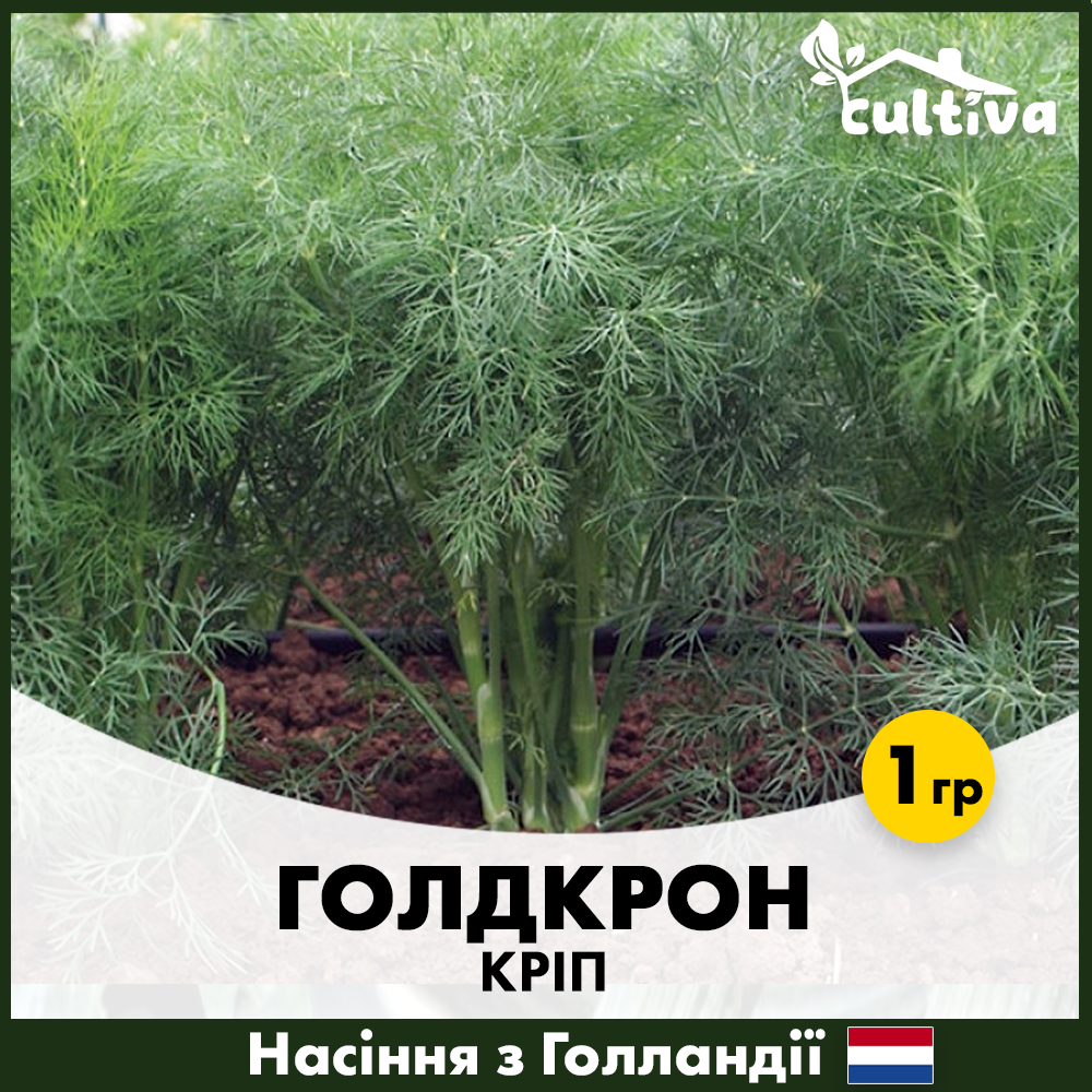 Семена укропа Enza Zaden Голдкрон 1 г (00374)