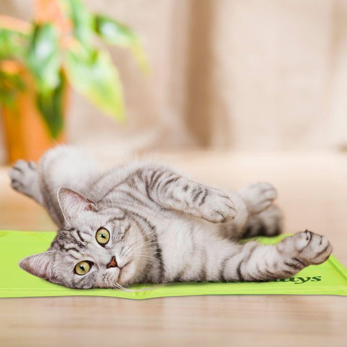 Коврик для домашних животных охлаждающий Relaxdays гелевый без электричества для собак и кошек XL 60x100 см - фото 3