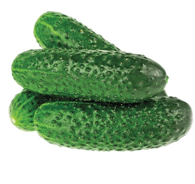 Семена GL Seeds Beste Kern Огурец Кибрия F1 партенокарпик корнишон среднеранний 10 шт.