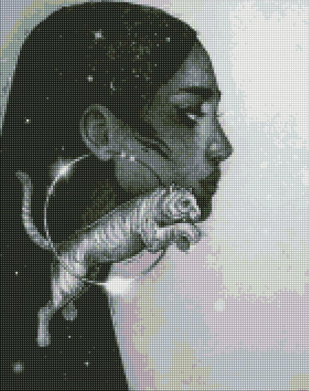 Алмазная мозаика Идейка Созвездие тигра 40х50 см (AMO7270)