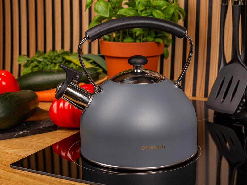 Чайник Ofenbach нержавіюча сталь зі свистком 2,2 л Сірий матовий (NB-100324) - фото 4 Чайник Ofenbach нержавіюча сталь зі свистком 2,2 л Сірий матовий (NB-100324) - фото 4