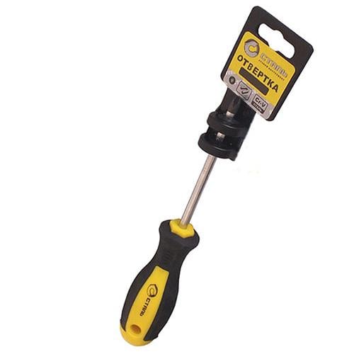 Викрутка Сталь PH0x100 мм (2459) Викрутка Сталь PH0x100 мм (2459)