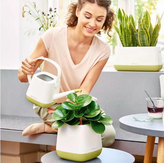 Лейка Lechuza Yula 30x14x22 см Белый/Розовый (A-013632) - фото 6 Лейка Lechuza Yula 30x14x22 см Белый/Розовый (A-013632) - фото 6