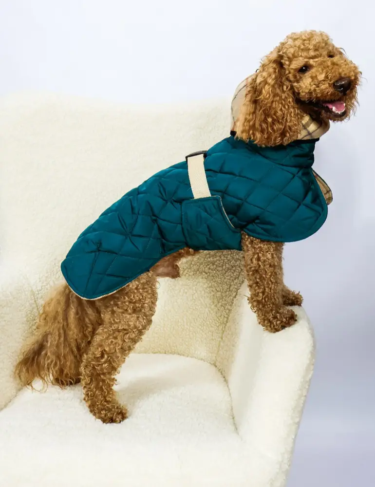 Жилет Dogs Bomba стежка двосторонній Смарагд (G-112/7)