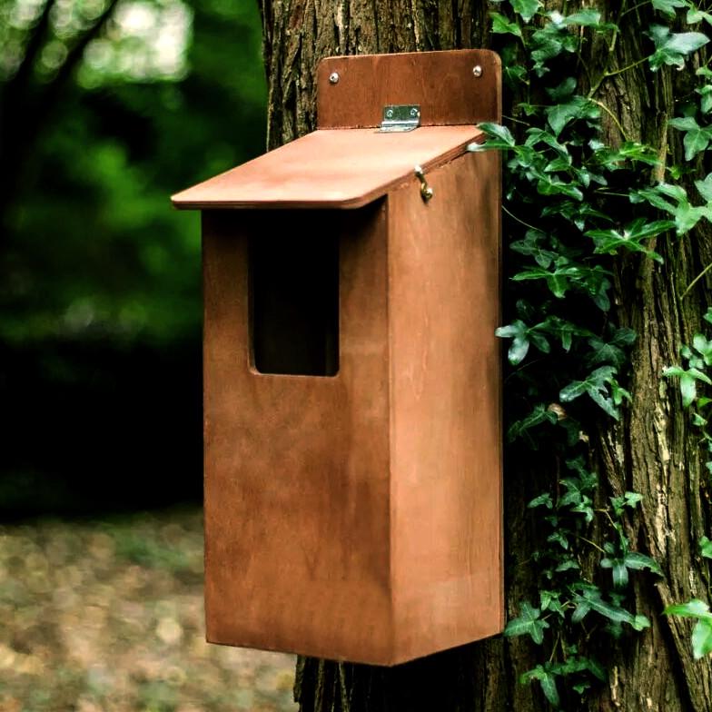 Гнездовье для птиц из дерева Лысуха Мускат (ГНЗ-001107)