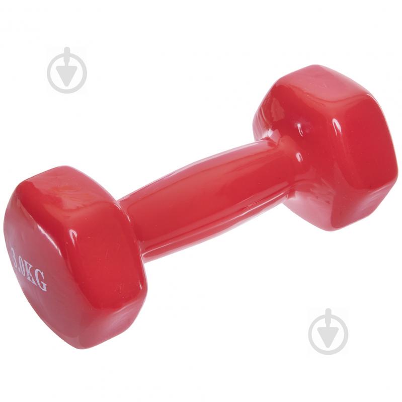 Гантели для фитнеса SP-Planeta Радуга TA-0001-3 3 Красный