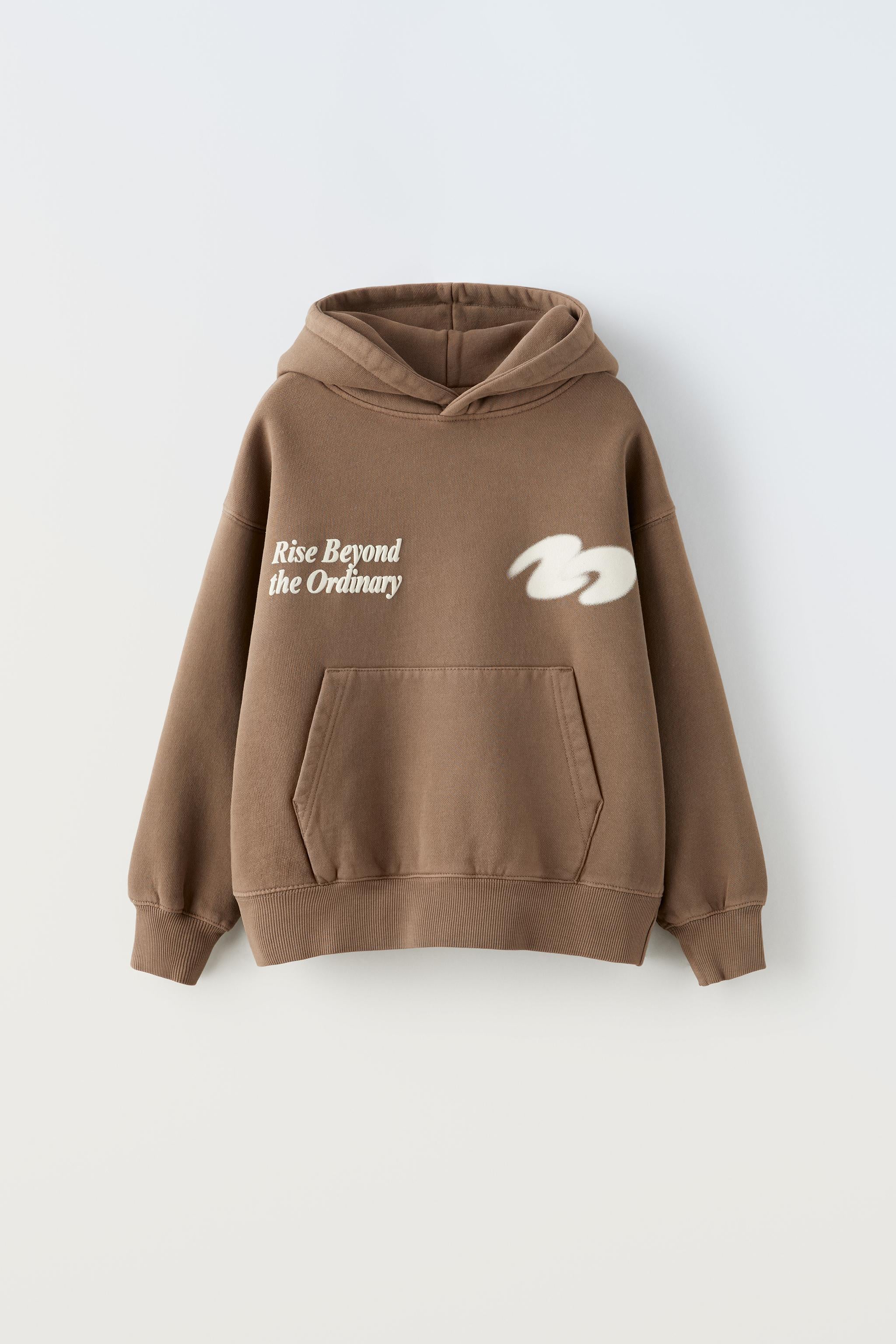 Худи Zara с капюшоном и карманами для мальчика 152 см Коричневый (0257771700)