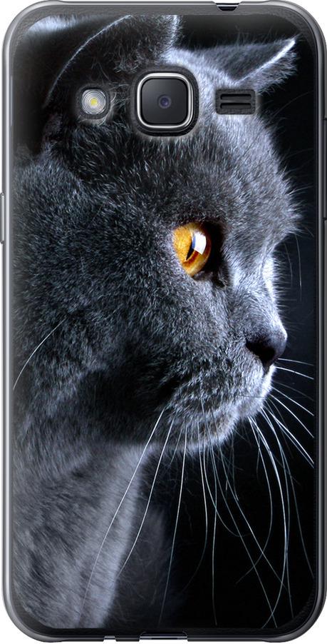 Чехол на Samsung Galaxy J2 J200H Красивый кот (3038t-190-42517)