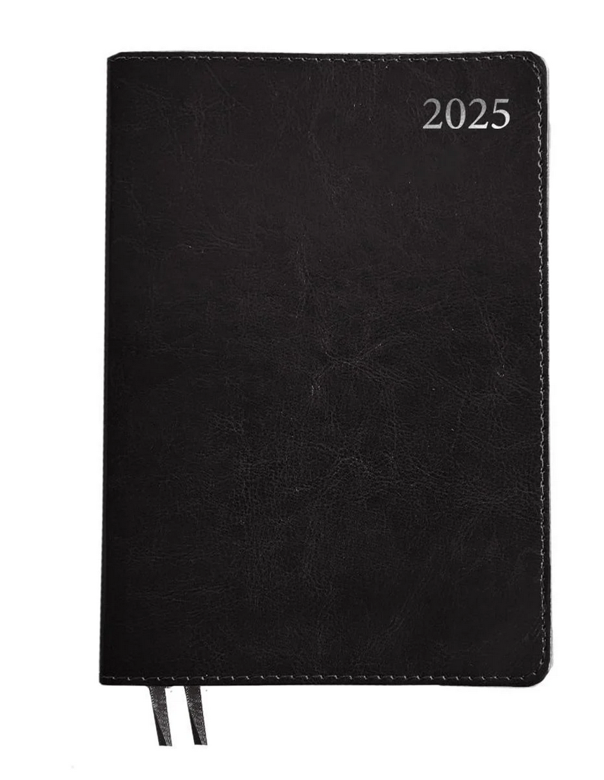 Ежедневник Leo Planner Aldento датированный/2025 год А5 368 стр. (252536)
