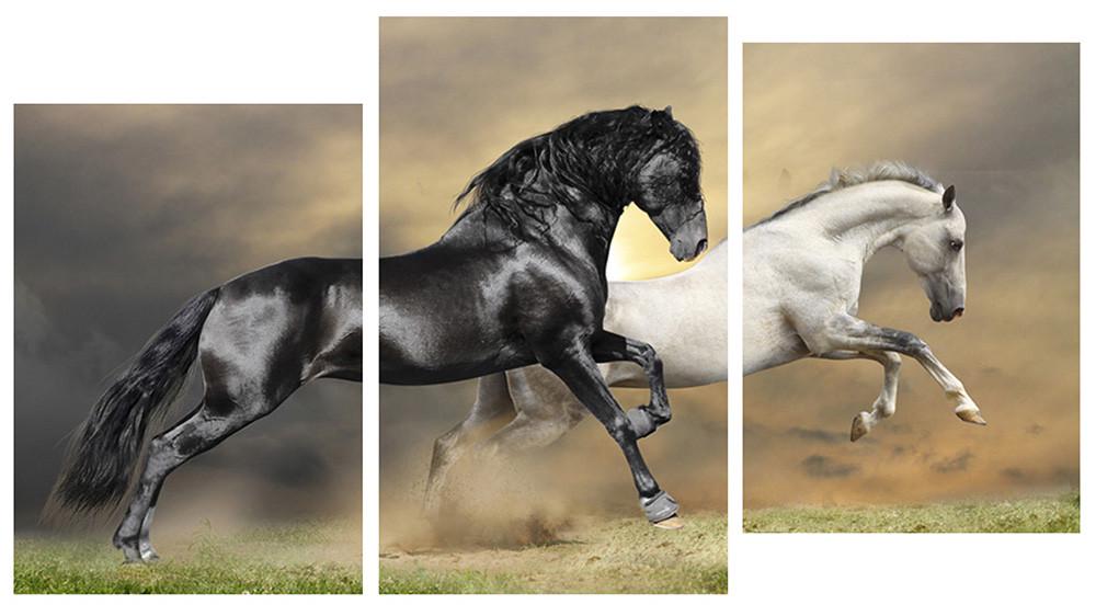 Модульная картина Декор Карпаты Лошади 100х53 см (M3-t180)