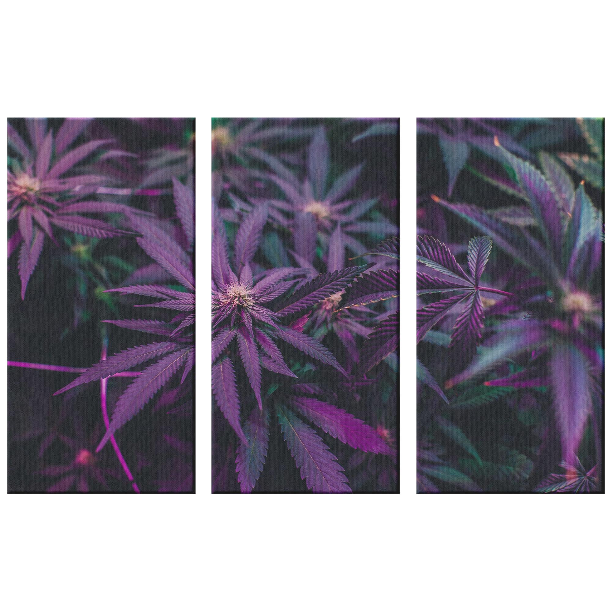 Модульная картина KIL Art Фиолетовые листья из трех частей 78x48 см (M3_M_22)