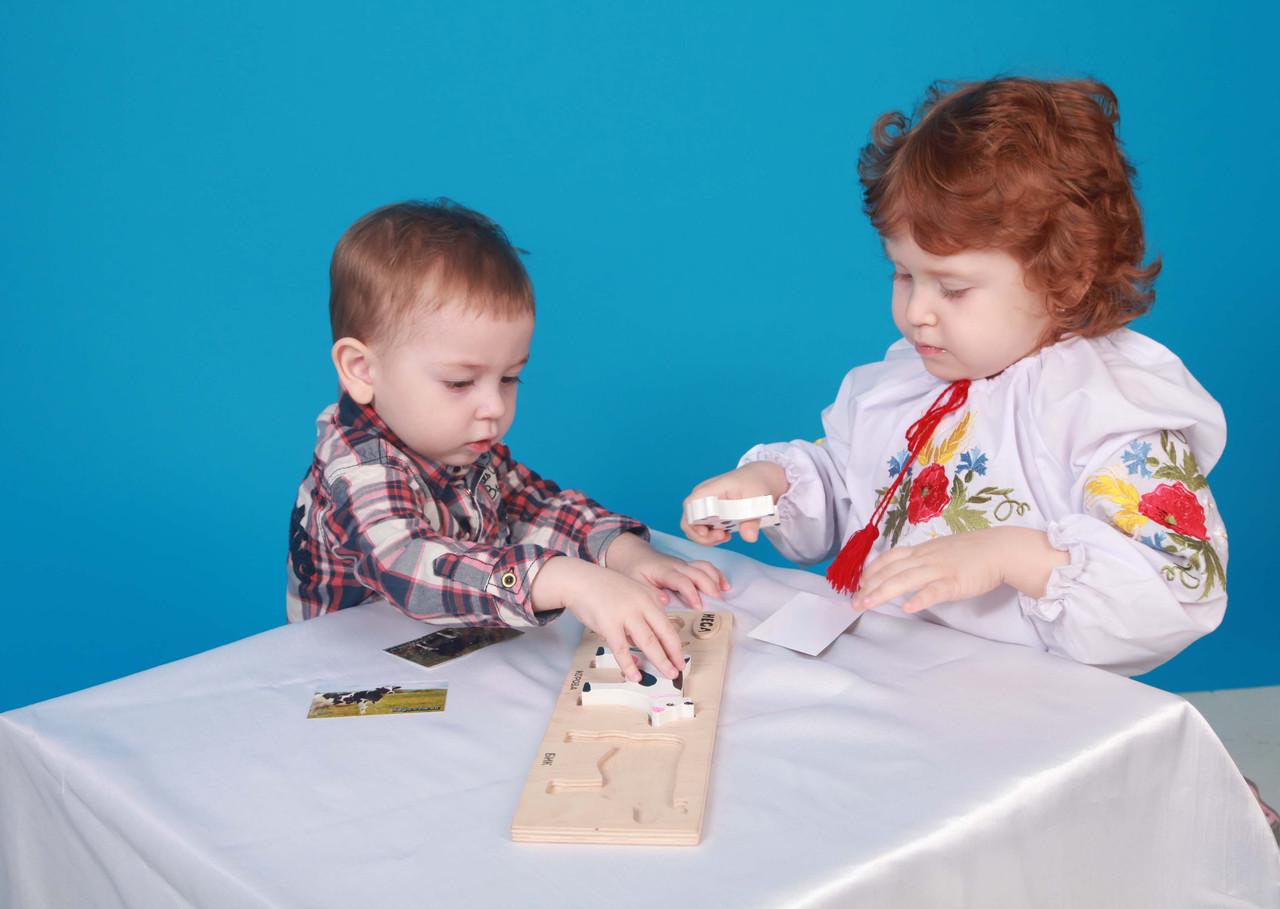 Набор рамка-вкладыш HEGA Коровы с объёмными фигурками и карточками(123) - фото 4 Набор рамка-вкладыш HEGA Коровы с объёмными фигурками и карточками(123) - фото 4