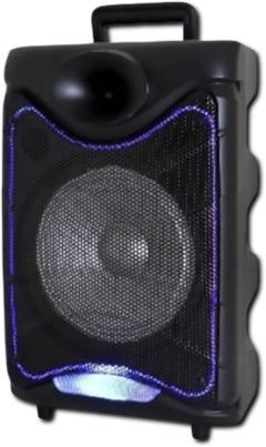 Акустическая система Goldteller 6020 Bluetooth FM/USB/SD (MER-14867_1890)