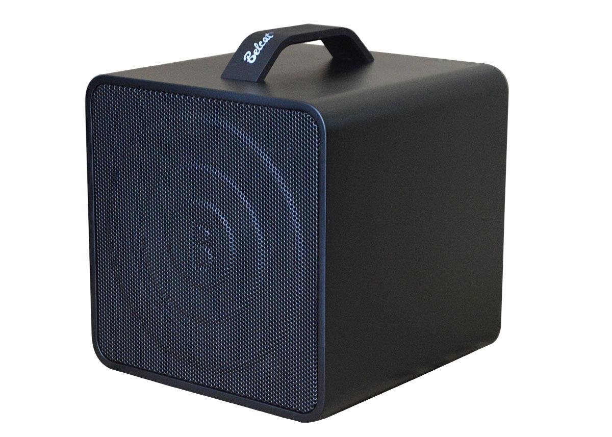 Комбоусилитель для акустических инструментов с микрофоном Belcat Busker Box-Acoustic 40 (25491670)