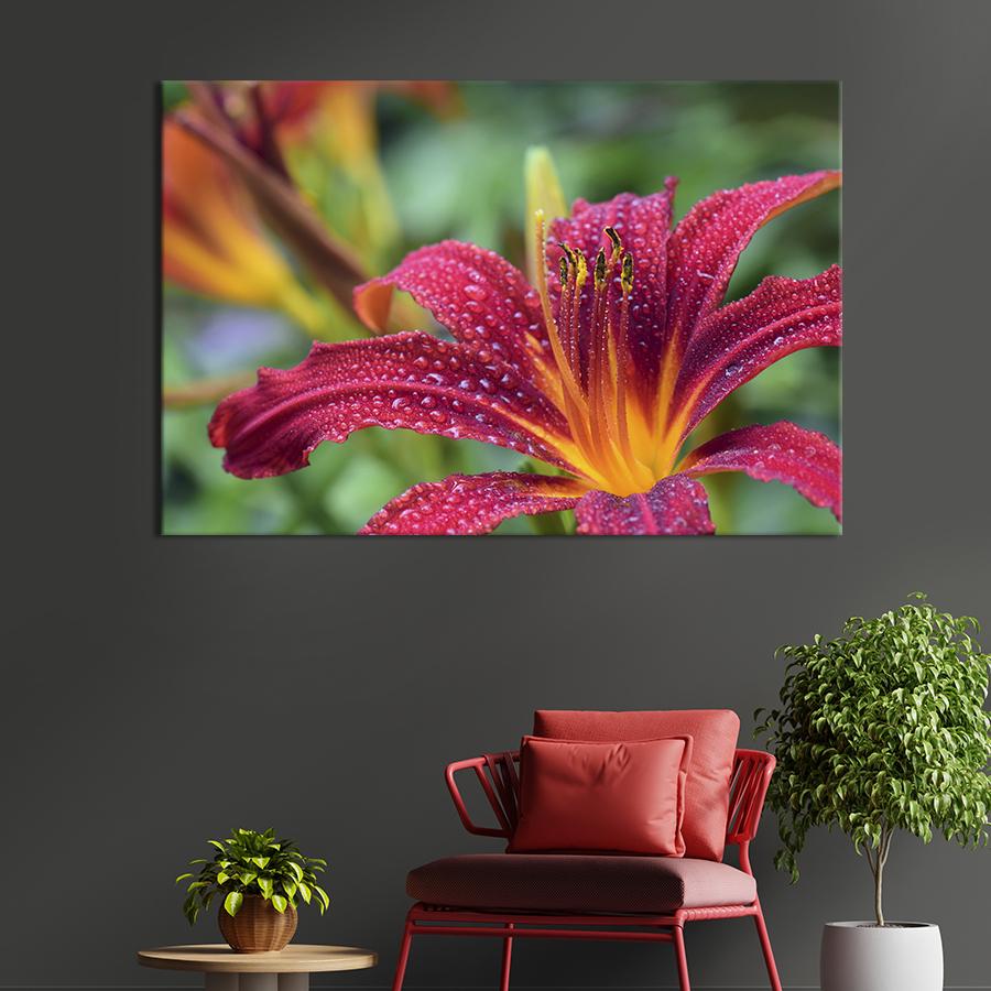 Картина на холсте Бордовая лилия 51x34 см (802-1)