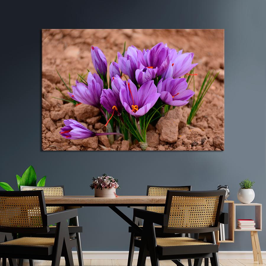 Картина цветы и растения Фиолетовые крокусы на грядке 120x80 см (A1029-1)