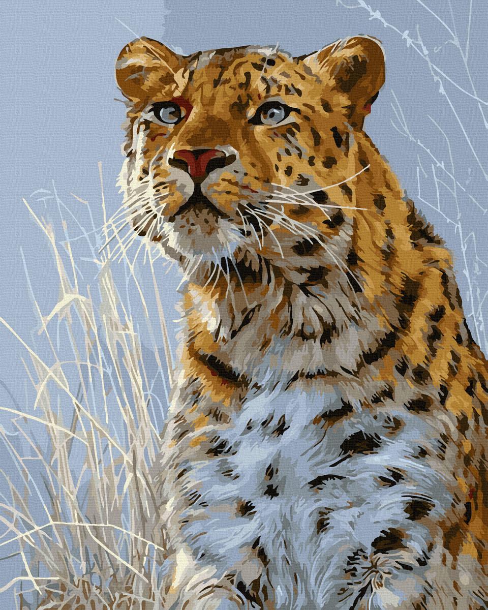 Картина по номерам Тигр в траве 40х50 (GX44611)