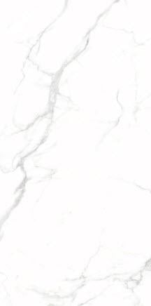 Плитка универсальная Silver Vein 120x60 см (19085)