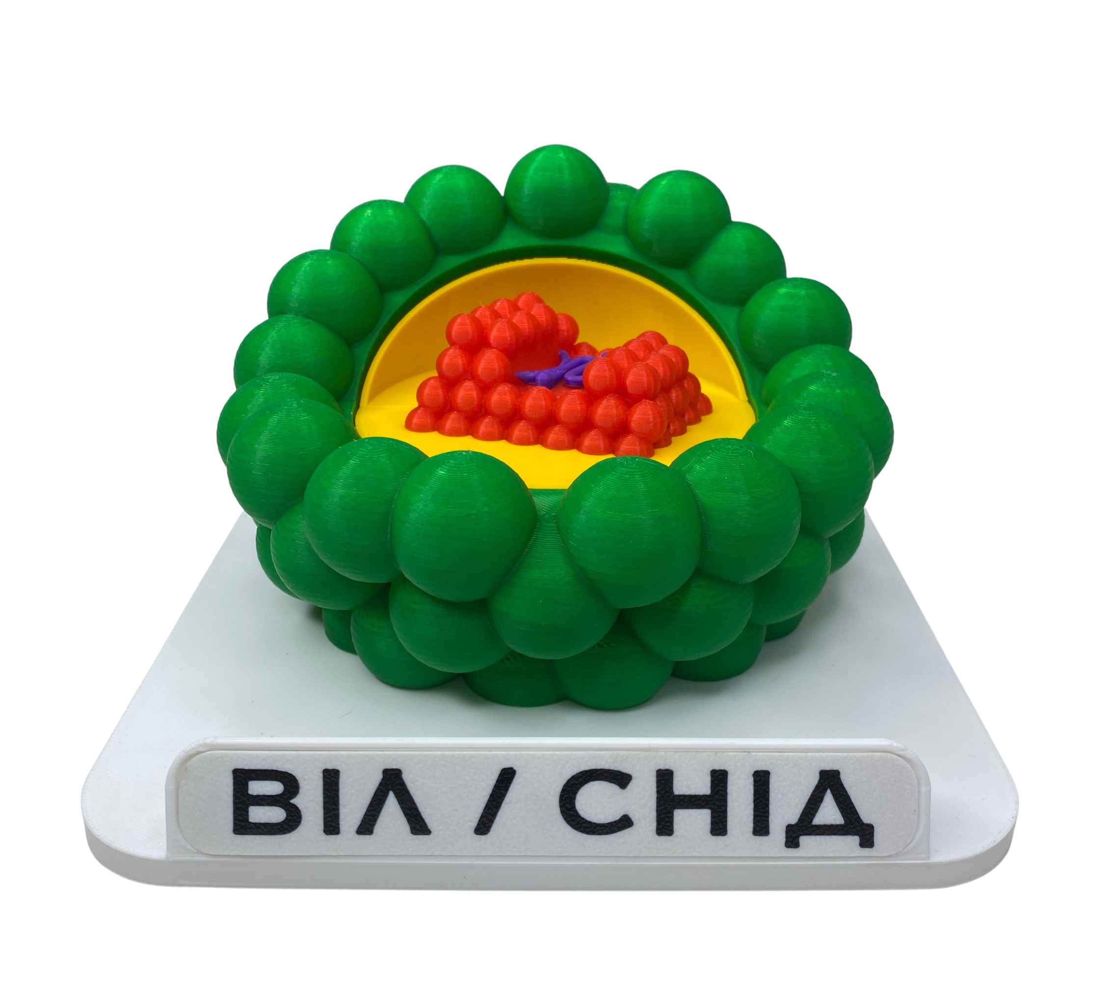 Модель обучающая демонстрационная ВИЧ/СПИД