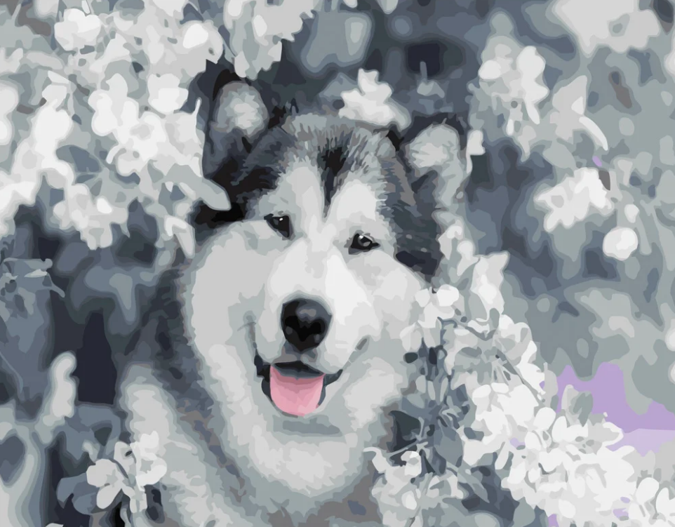 Картина по номерам Strateg Белая хаски 40x50 см (GS479)