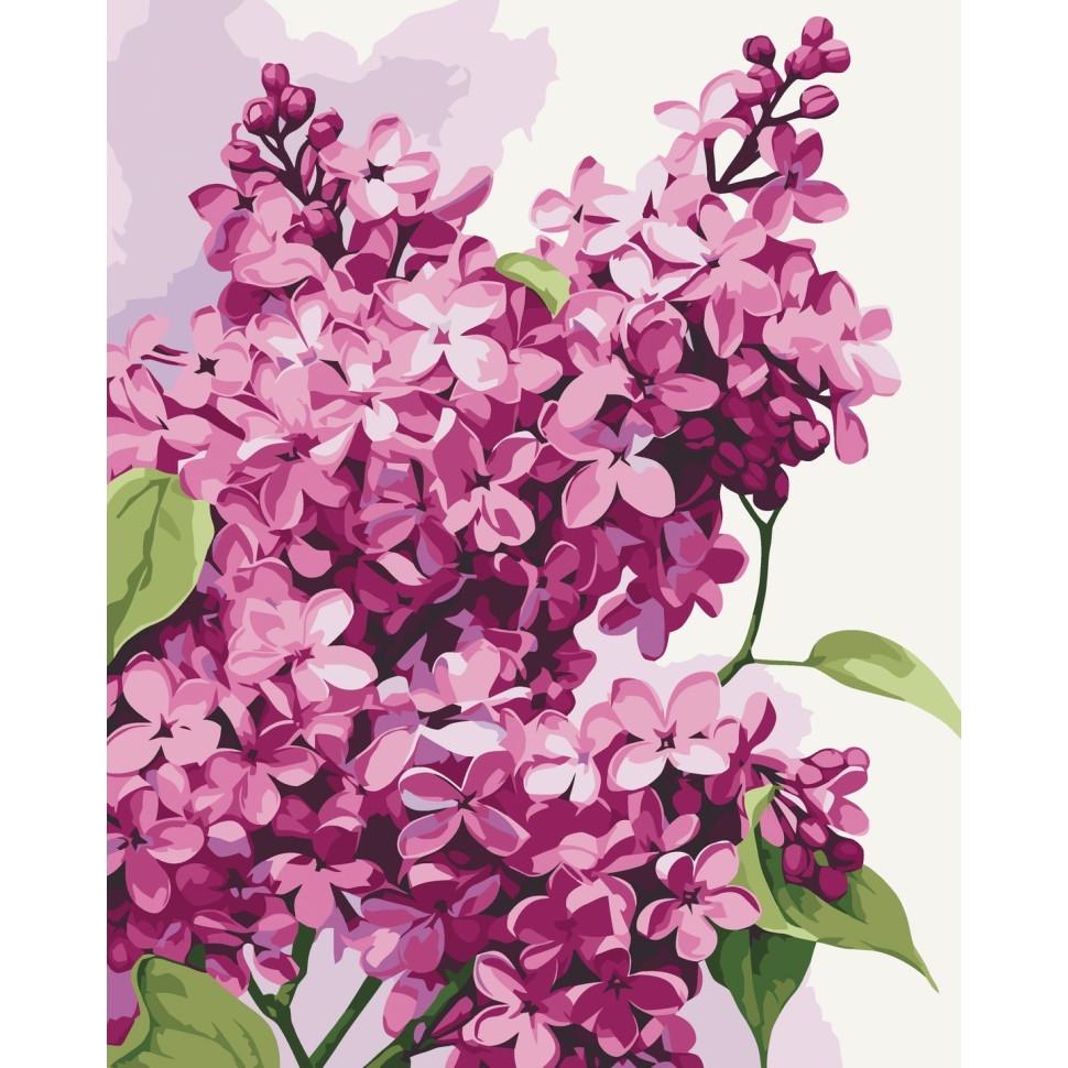 Картина по номерам ART CRAFT Сирень 40x50 см Разноцветный (PM-194-K-1644)