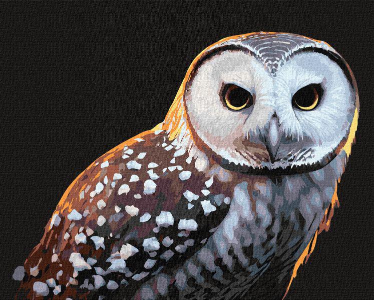 Картина по номерам Идейка Гордый взгляд 40x50 см (KHO4395)