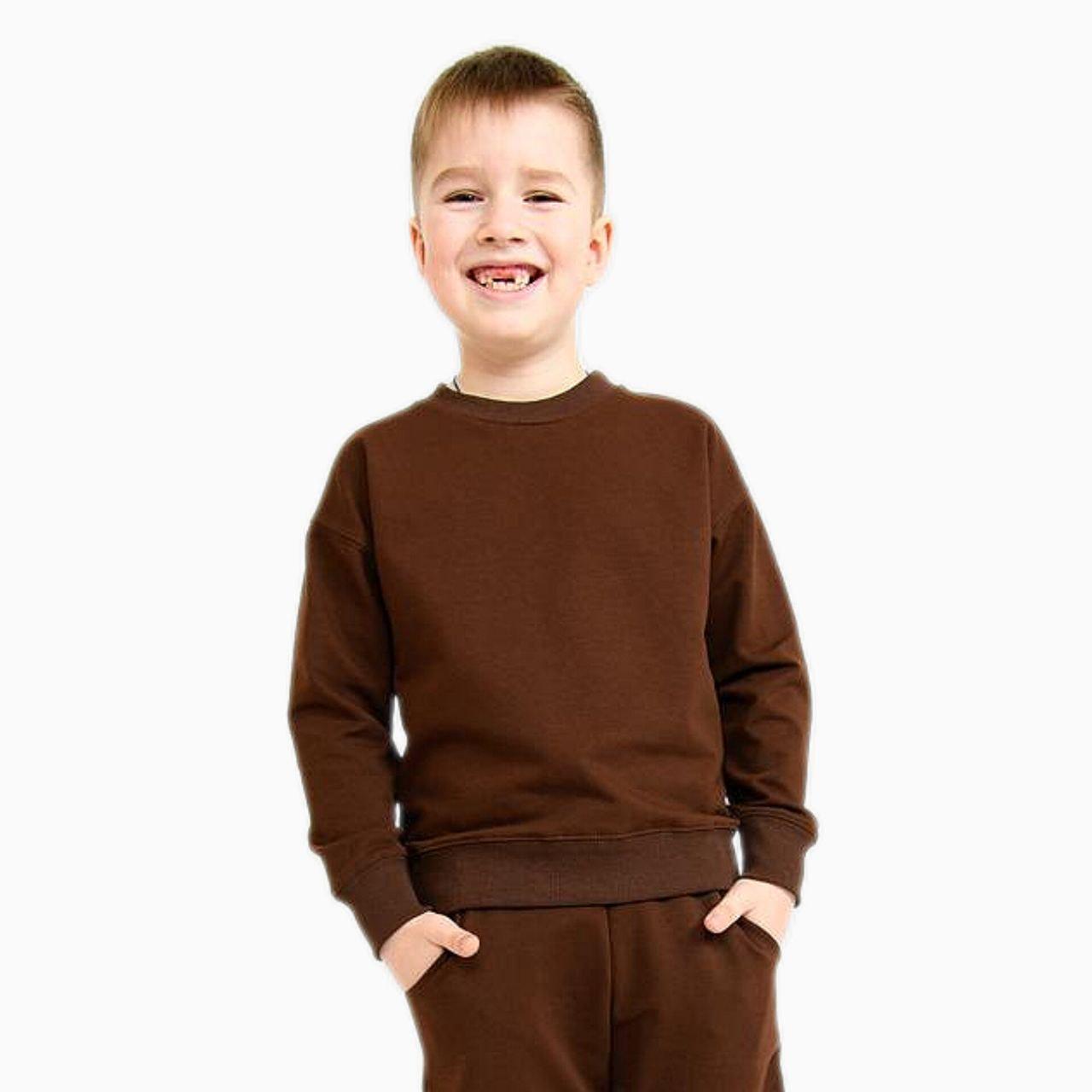 Свитшот для мальчика 98 см Коричневый (V-841170-98к)