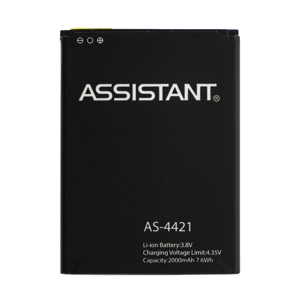 Акумулятор AAAA-Class Assistant AS-4421/AS-4411 (10824470)