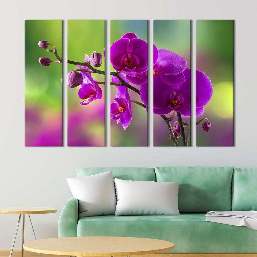 Модульная картина из 5 частей на холсте интерьерная картина Цветущая орхидея 155x95 см (238-51) Модульная картина из 5 частей на холсте интерьерная картина Цветущая орхидея 155x95 см (238-51)