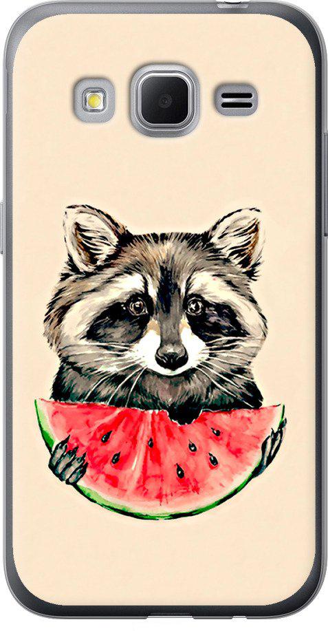Чехол на Samsung Galaxy Core Prime VE G361H Енотик с арбузом (4605m-211-42517)