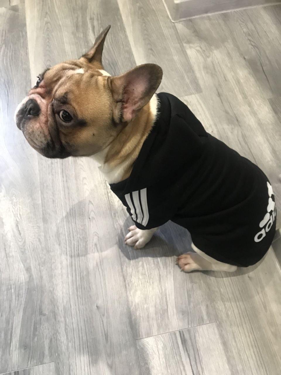 Толстовка для собак Adidog L Чорний (64315971)