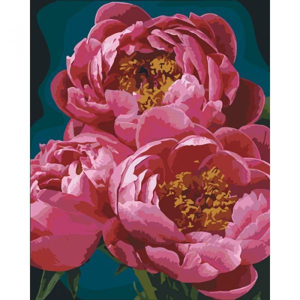 Набор для росписи Идейка Цветы Пышность пионов 40х50 см (КНО3044-mt)
