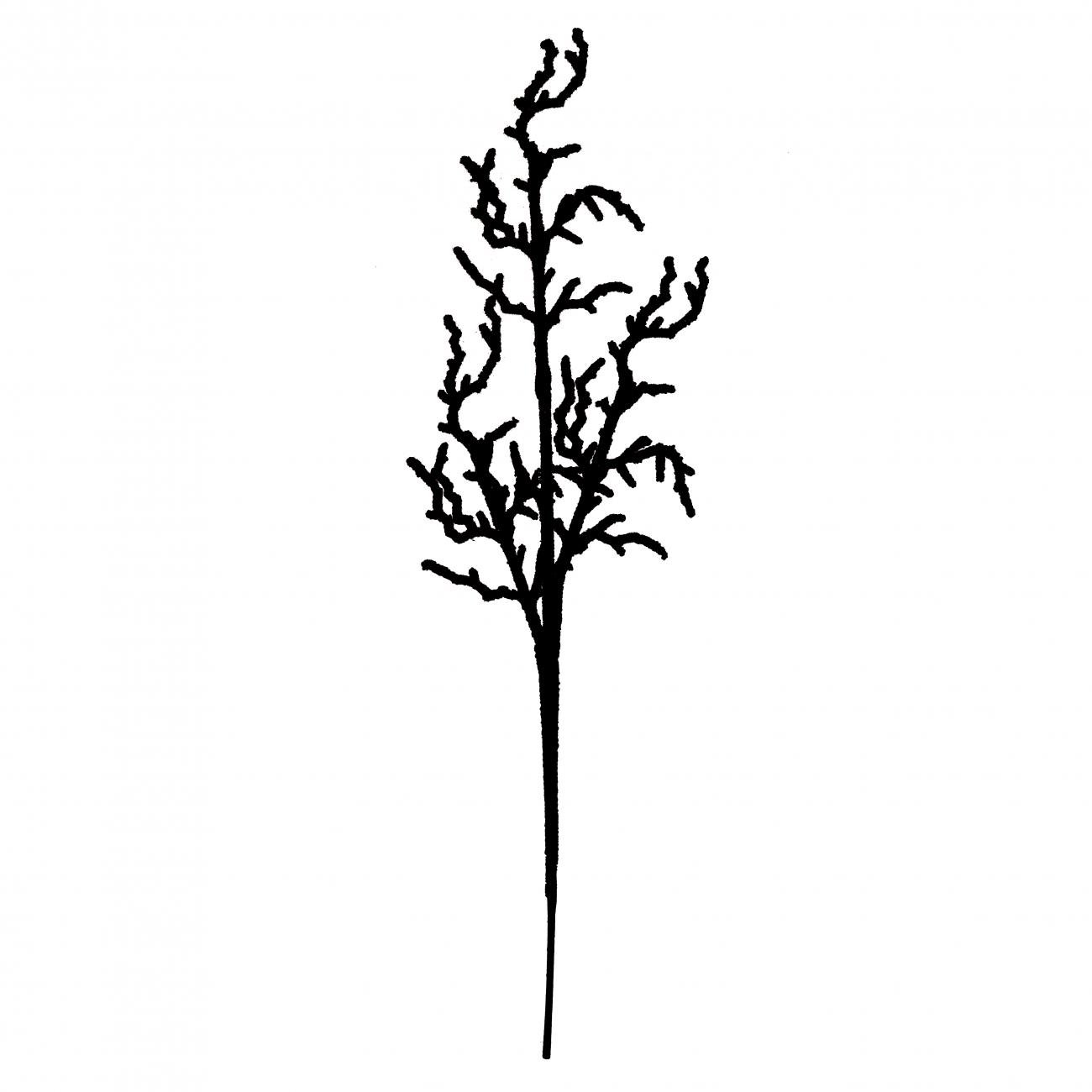 Гілка декоративна YES! Fun Корал глітер 76 см Чорний (0974318) Гілка декоративна YES! Fun Корал глітер 76 см Чорний (0974318)