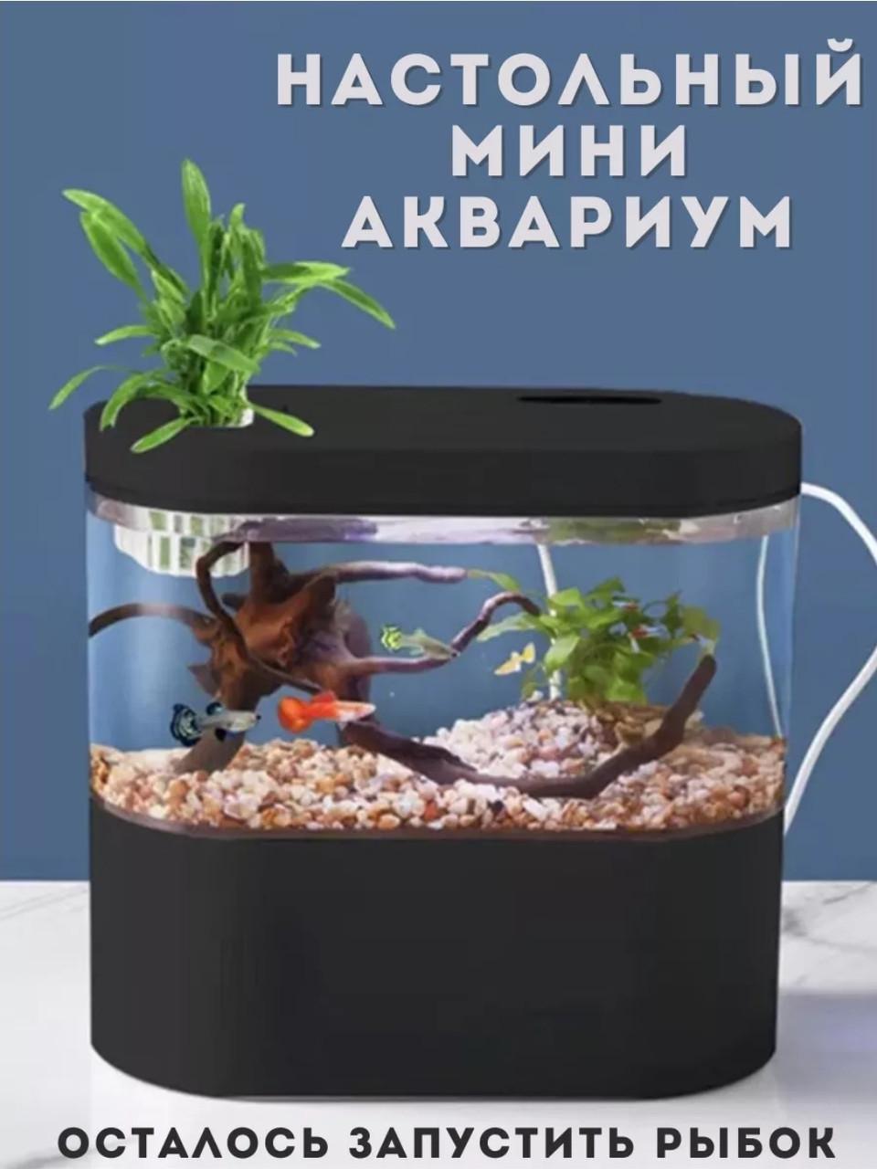 Акваріум для рибок з підсвіткою і фільтром (2531145062) - фото 3