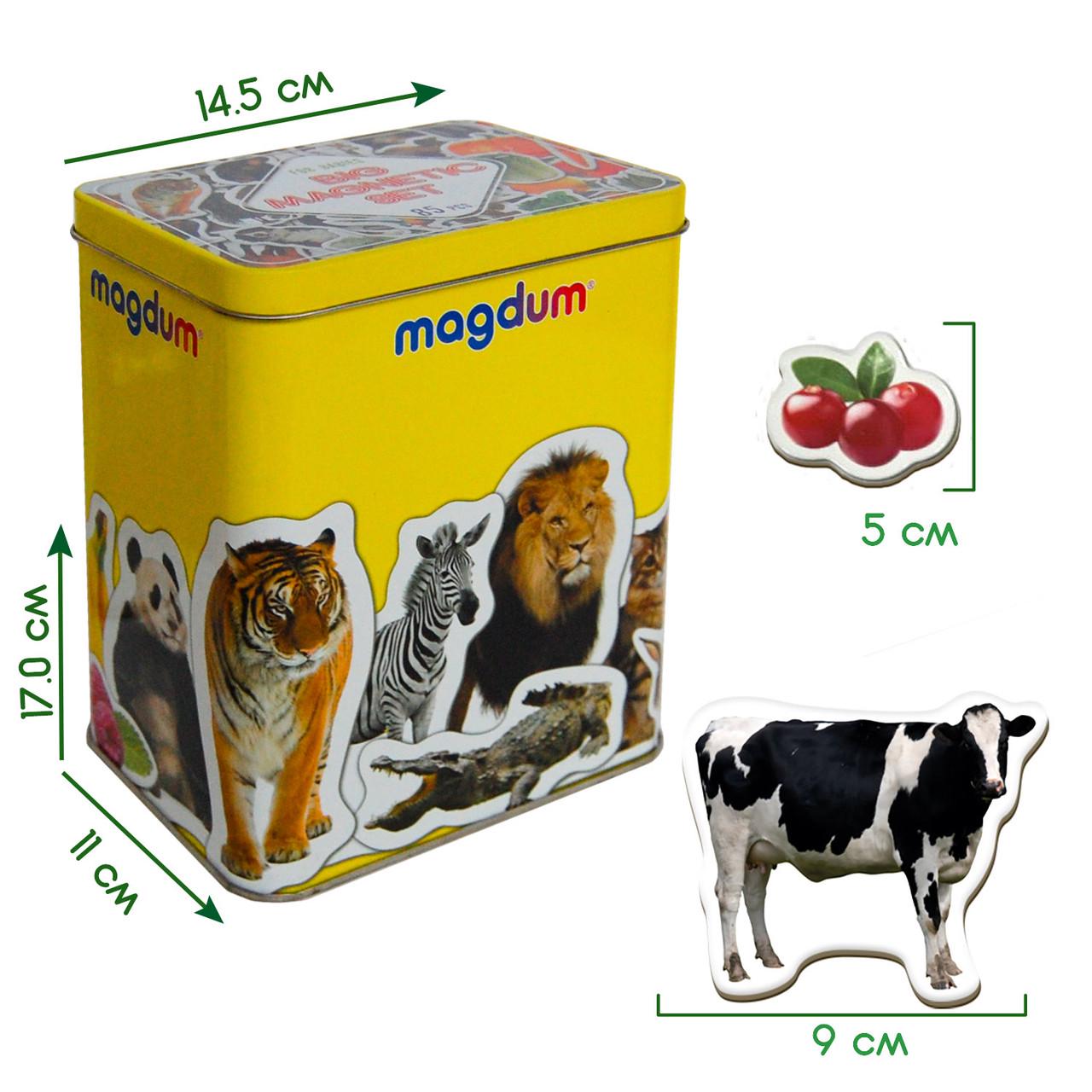 Подарунковий набір магнітів Magdum Дитячий світ 85 магнітів (ML4031-61 EN) - фото 3