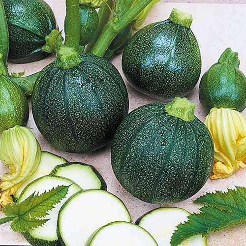 Семена Кабачок Florium Зелена Куля (7500)