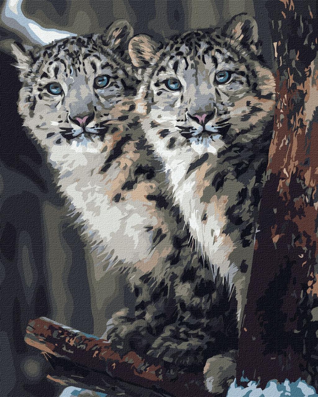 Картина по номерам Идейка Скрытое наблюдение 40х50 см (КНО4311)