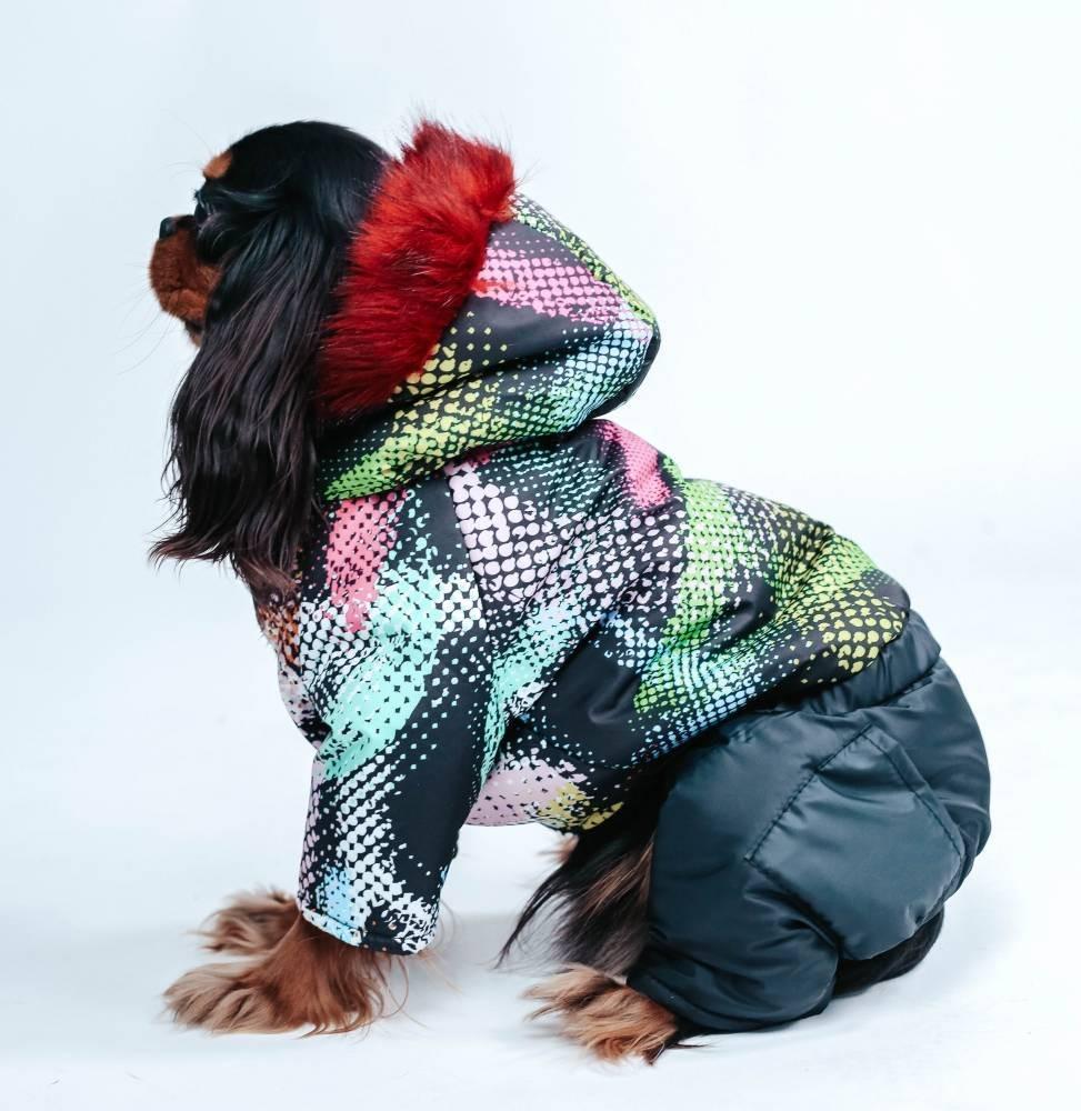Комбінезон для собак зимовий Абстракція AM-23 р. 5 РІзнокольоровий (70579811)