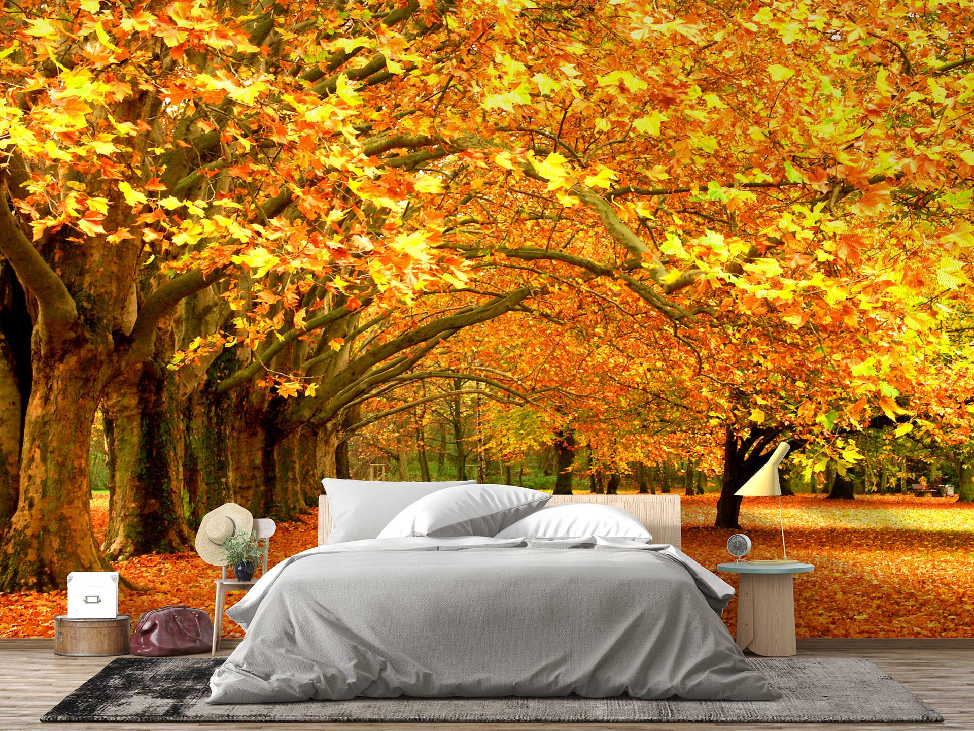 Фотообои флизелиновые Styleo Print-walls Осеннее утро 0258 300х200 см (Pw-0258)