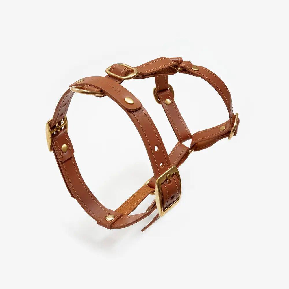Шлей кожаный анатомический для собак Classy обхват грудины 74-89 см XL Рыжий (1656)