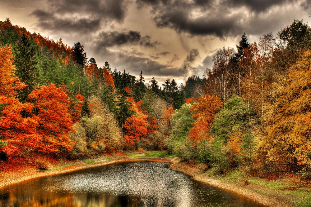 Картина Природа PR235 35х55 см